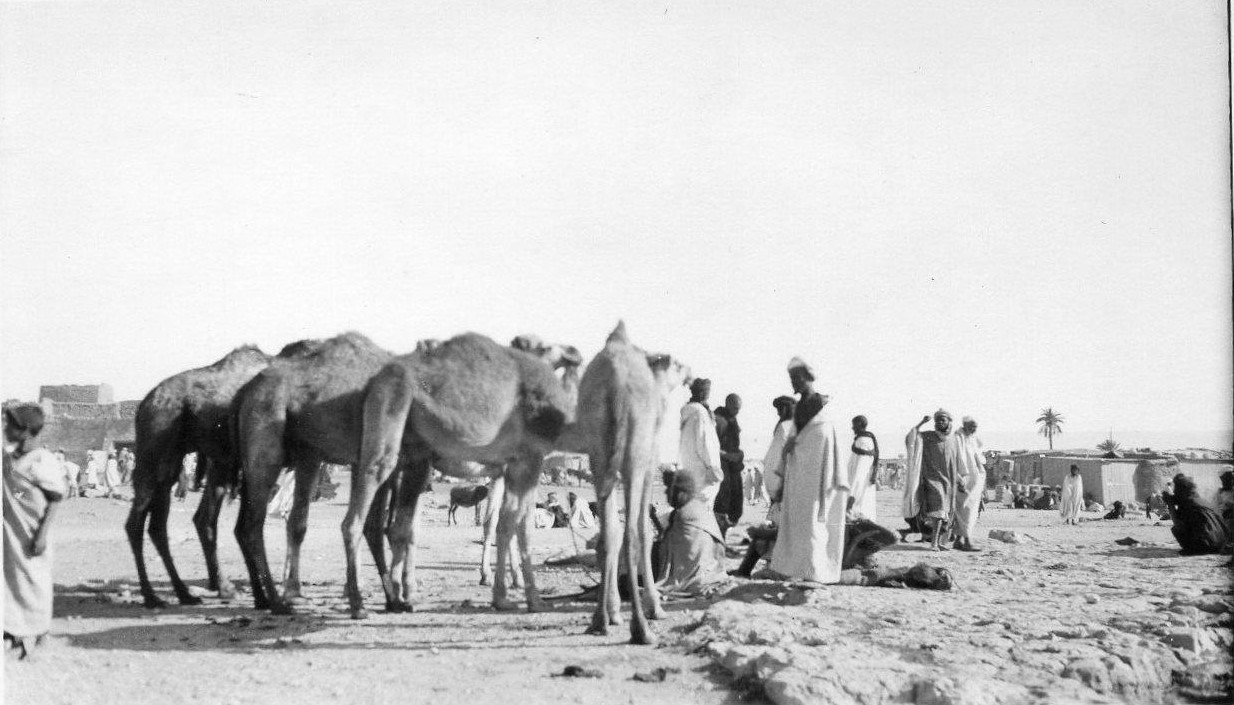 15776952_1191577804251204_5633741697579706939_o