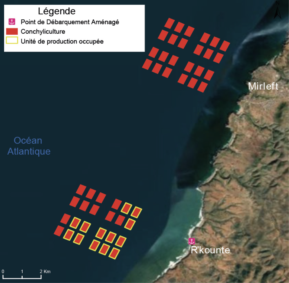 تربية-الأحياء-البحرية-بالجهةمير اللفت