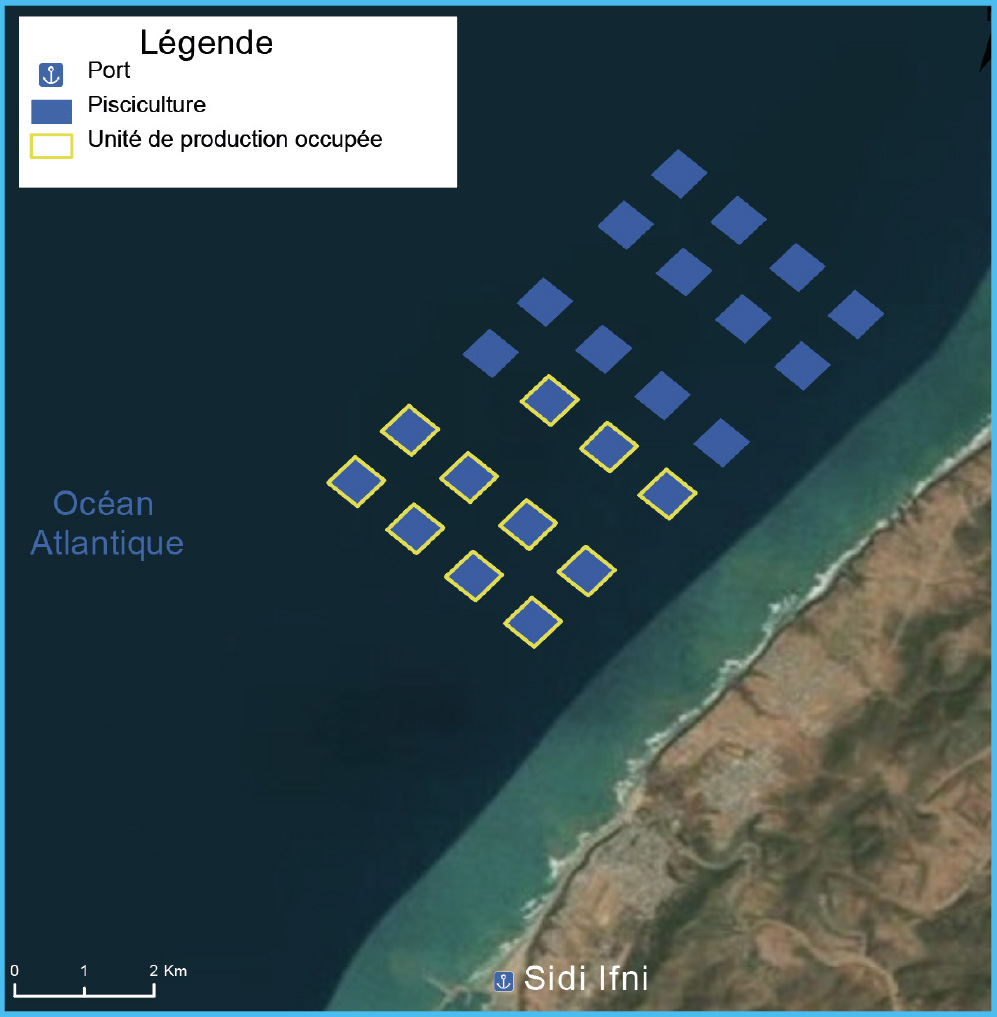 تربية-الصدفيات---سيدي-إفني